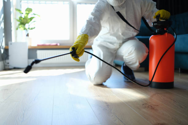 Wildlife Control Services in Longview Heights, WA